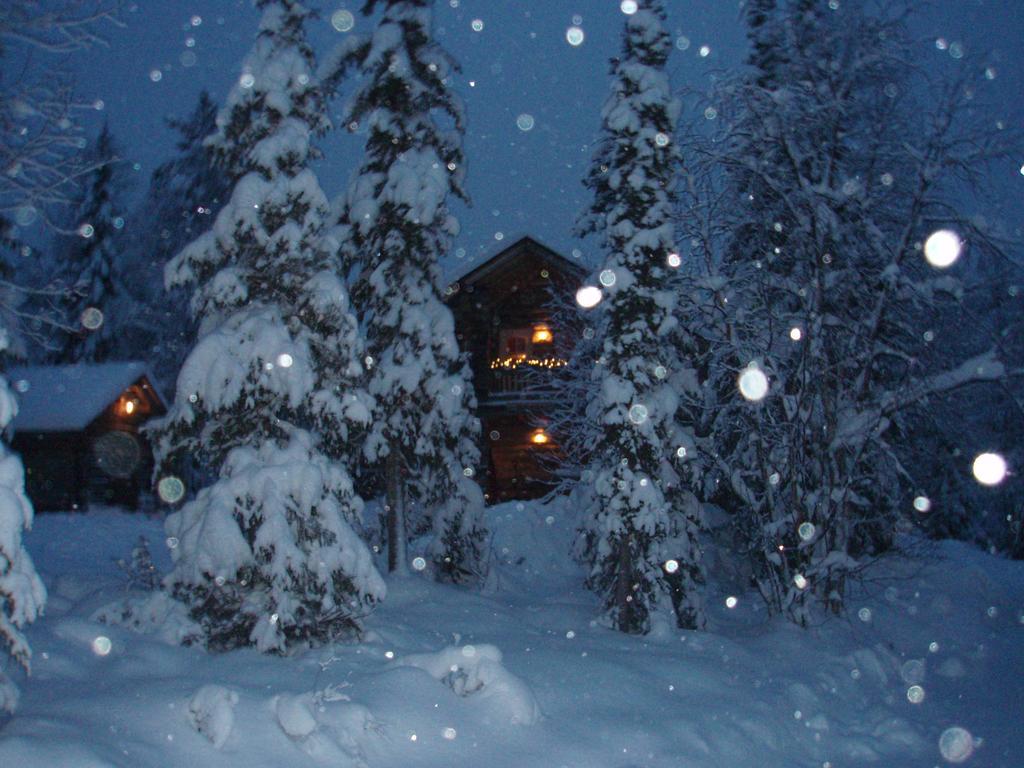 Ylläshilla Cottage Äkäslompolo Rum bild